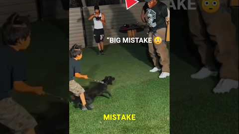 Puppy Protection Training Goes WRONG 😳🐶#usa #dog #trending