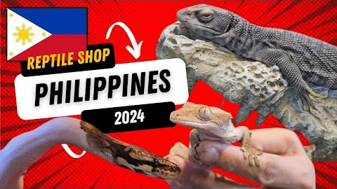 TOURING EXOTIC PET SHOPS IN METRO MANILA