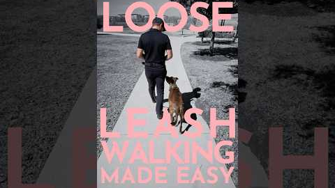 How to teach a dog to walk on a loose leash. (EVEN IF THEY'RE A PULLER) #dogtraining #puppytraining