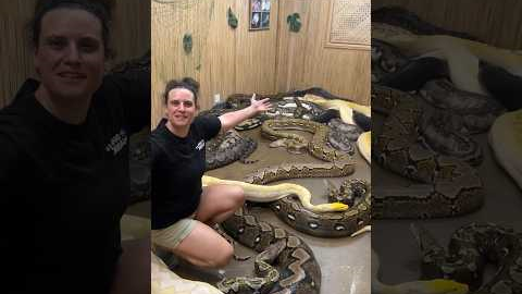 What’s in the secret snake room?😮