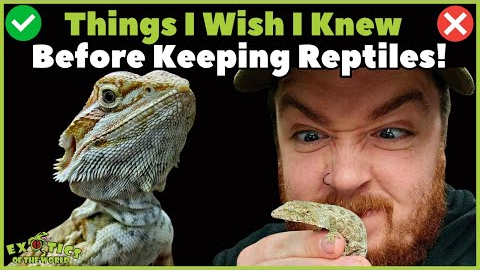 Things I Wish I Knew Before Keeping Reptiles! (Avoid These Mistakes!)
