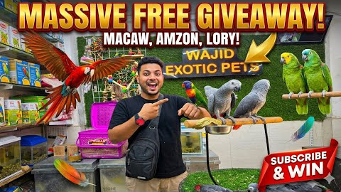 NEW STOCK ARRIVAL! 🦜 Wajid Exotic Pets Huge Update +  New  GIVEAWAY! 🔥 
