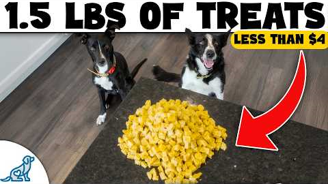 Don’t Waste Money on Dog Treats Until You Try THESE