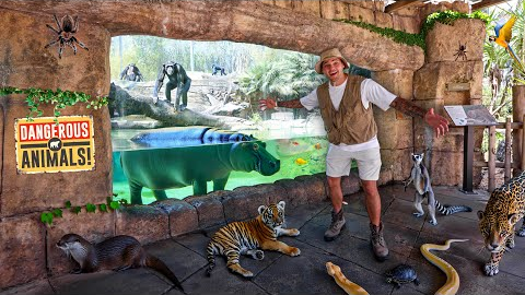 Exploring the LARGEST ZOO Full of EXOTIC ANIMALS!!