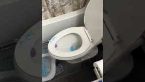 Kitty Potty Training Fail!