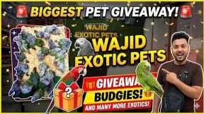 Wajid Exotic Pets has new stock and a giveaway! 🦜🎁 #Pets #Giveaway #conure #birds 