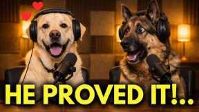 7 Things Your Dog Secretly Needs Every Day To Feel Loved (Almost No One Knows This)