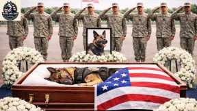 Memorial service held Wednesday for K9 Rico | top best dog training techniques