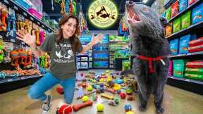 Taking My Binturong to a Local Pet Shop!