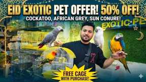 ​Huge Eid Sale! Budgie Bundles &  Exotic Parrots at Wajid Exotic Pets! 🦜✨