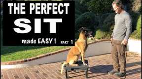 Teach Your Dog SIT on Command - Perfect SIT - Robert Cabral Dog Training Video