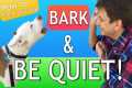 How to Teach your Dog to Bark and