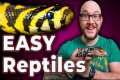 The 5 EASIEST Reptiles ANYONE Can