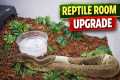 Setting Up My Reptile Room! New