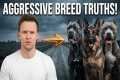 The 7 Most Aggressive Dog Breeds As A 