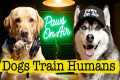 Dogs Reveal How They Secretly Train