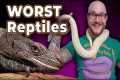 The 5 WORST Beginner Reptiles and 5