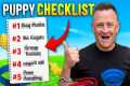 5 Puppy Essentials You Can’t Live