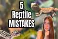 New Reptile Owner? Avoid These 5 Huge 