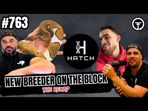 The HARD TRUTH About Scrambler That NOBODY Wants To Hear | NBB Recap Episode (Live)