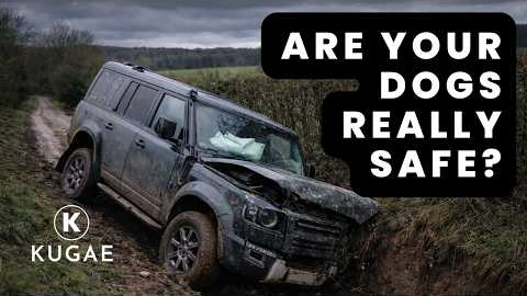 Dog Car Safety: What Saved My Dogs