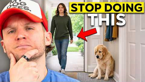 10 Things Dogs Hate That Humans Do