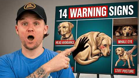 13 Signs Your Dog Doesn’t Love You (Even if You Think They Do)