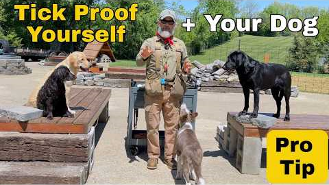 Tick Proof Yourself & Your Dog | A Professional Field Guide