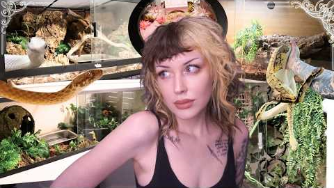 Tour of ALL My Reptile's Enclosures!