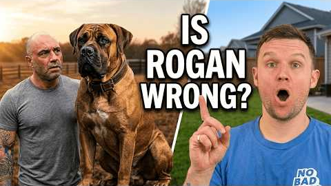 I Can't Believe Joe Rogan Said THIS About My Dog 🤯
