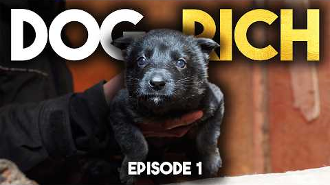 Dog Rich “Cash is King” - Episode 1
