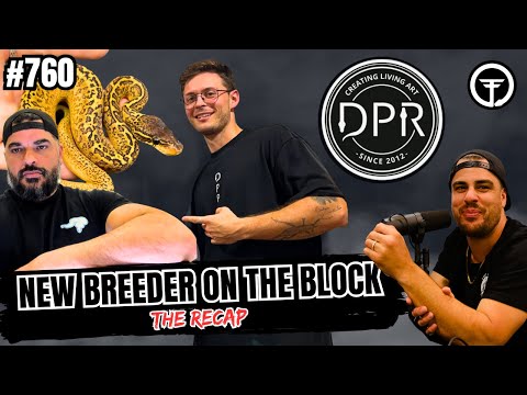 Bending The Rules In The Ball Python Game... Thinking OUTSIDE The Box | NBB Recap (Live)