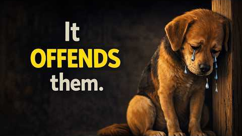 You do this every day… and it hurts your dog