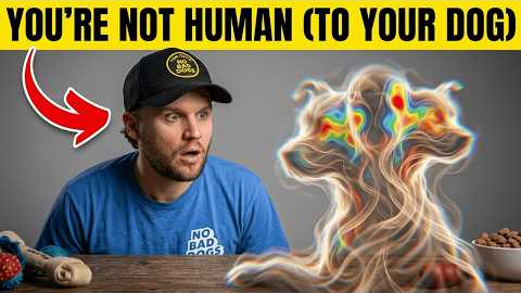 Your Dog Doesn't Think You're Human... What Science Finally Reveals