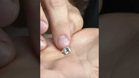 EGG HATCHES IN MY HANDS!