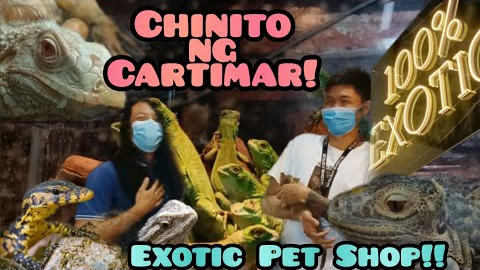 Bilihan ng Exotic animals Sa Cartimar! 2022 Price update! 100% exotics lang sakalam!