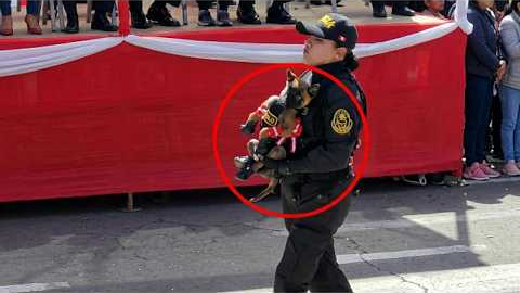 Police Dog’s First Day… He Needed a Lift 😂🐕🔥