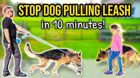 HOW TO STOP DOG PULLING ON LEASH - 10 minutes to 