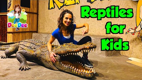Kids Learn About Reptiles