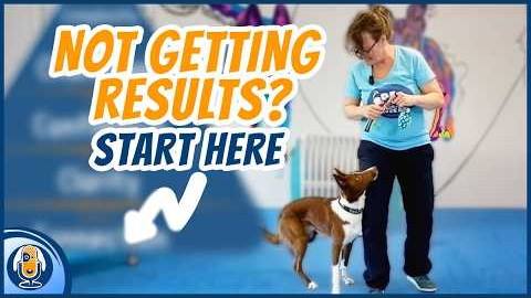 Don't Train Your Dog ... Until You Do THIS!