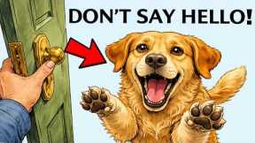 The Right Way to Greet Your Dog When You Come Home (Most Owners Do It Wrong)