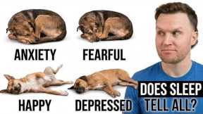 What Your Dog's Sleeping Position Reveals About Their Health, Personality, and Loyalty
