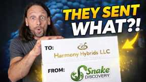 Snake Discovery sent us snakes!! What did we get?!!