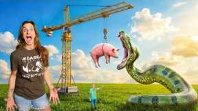 Feeding Truly Giant Snakes in My Reptile Zoo!! 