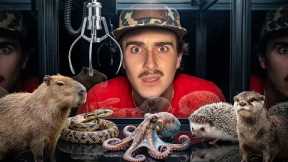 I Bought a Live Animal Claw Machine! 