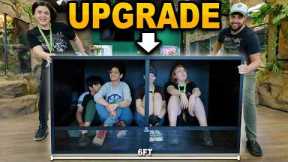 Big Changes Happening At My Reptile Room!