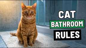 Why Your Cat Follows You to the Restroom (The Real Reason) 