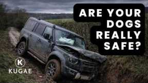 Dog Car Safety: What Saved My Dogs