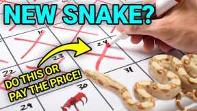 The First 30 Days With Your New Pet Snake Can Make Or Break Everything