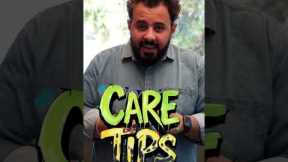 The Ultimate Guide to Dog Training: Tips, Tricks, and Techniques for All Ages